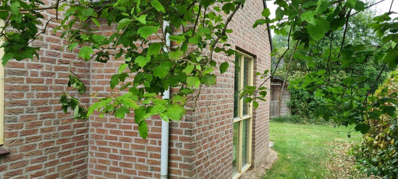 Forestview 'Queenstown' 6 Pers Very Child-Friendly By Kawatea Cottages (Adults Only) Ewijk Kültér fotó